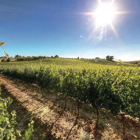 Vincenzo-podere Moricci *